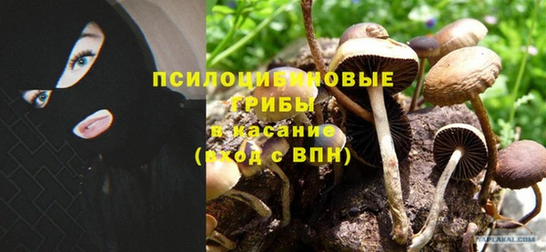спиды Анива