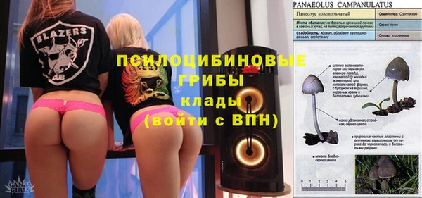 a pvp Козловка
