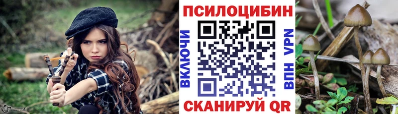 цены наркотик  Кораблино  нарко площадка клад  Галлюциногенные грибы Magic Shrooms 
